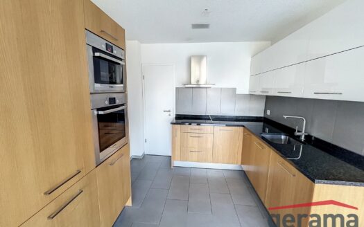Appartement 4.5 pièces en duplex