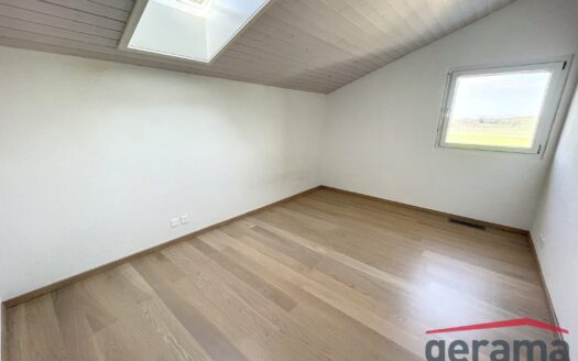 Appartement 4.5 pièces en duplex