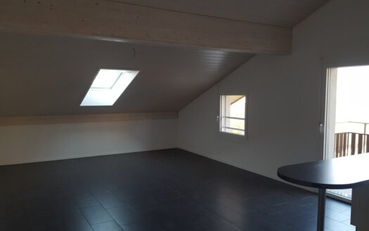 Appartement récent de 2,5 pièces à Belfaux