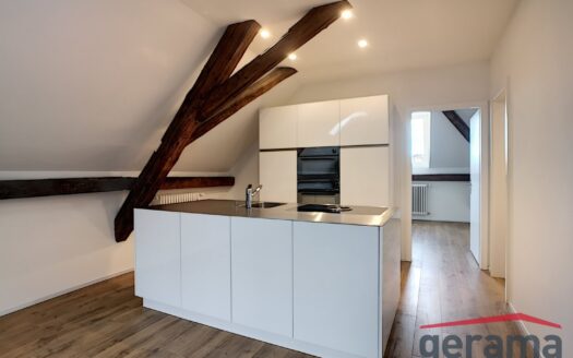 Magnifique appartement 2.5 pièces dans les combles