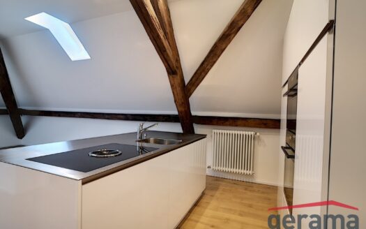 Magnifique appartement 2.5 pièces dans les combles