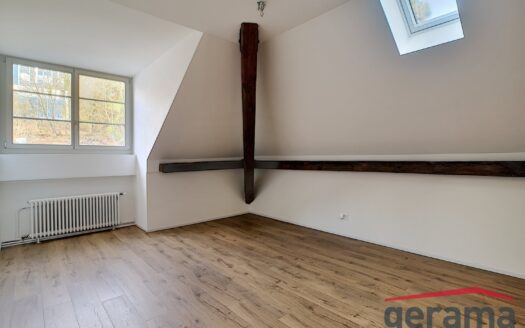 Magnifique appartement 2.5 pièces dans les combles