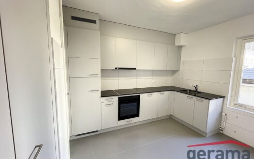 Appartement 3.5 pcs au 1er étage