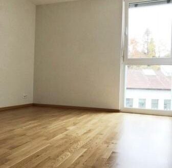 Appartement lumineux de 3.5 pièces