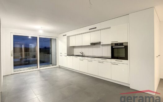 Appartement moderne de 3.5 pièces à Fribourg