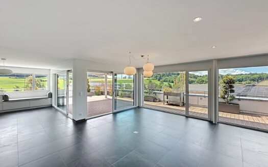 Magnifique attique avec une terrasse de 115 m2