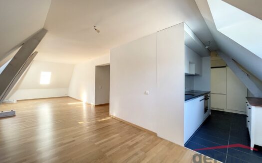 2.5 pièces avec cachet en Basse-Ville de Fribourg