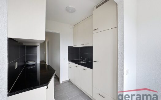 Appartement 3.5 pièces au 3ème