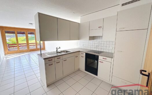 Charmant 1.5 pièces à Giffers
