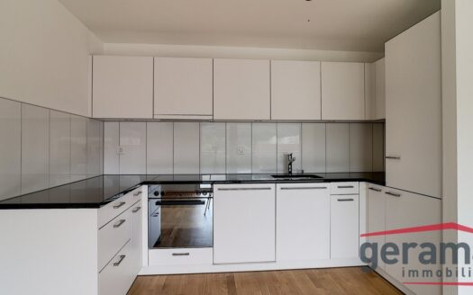 Appartement 4,5 pièces à Avenches