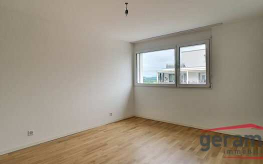 Appartement 4,5 pièces à Avenches