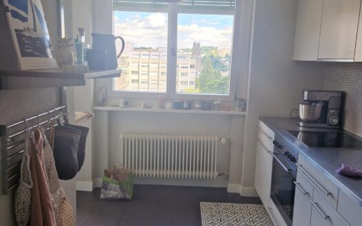 Unique: vue imprenable au centre-ville, 3.5 pces