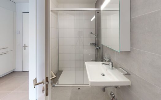 Bel appartement 2.5 pièces à la Fonderie 27
