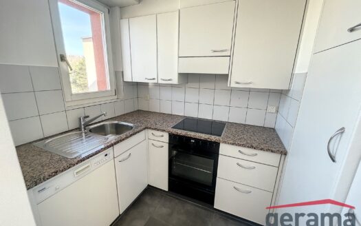 4.5 Zimmerwohnung in Flamatt