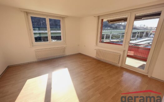 4.5 Zimmerwohnung in Flamatt
