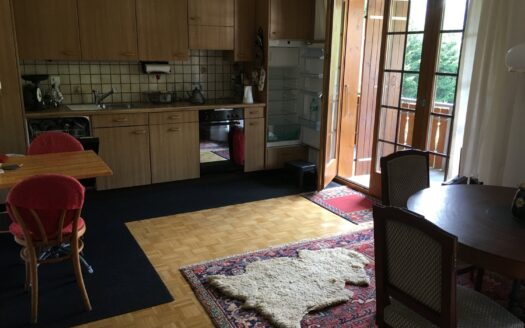 3,5 Zimmer Wohnung im Schwarzsee