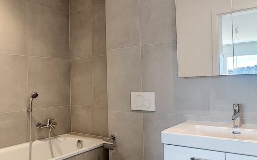 Moderne 3.5 Zimmerwohnung in Heitenried