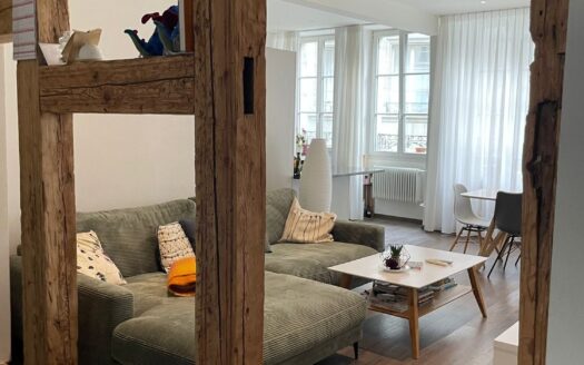 Charmant appartement de 4.5 pièces à Fribourg