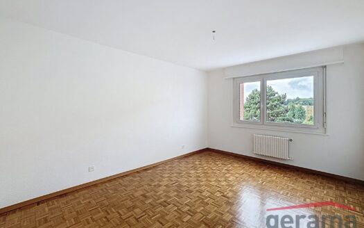 Appartement 3.5 pièces au 4ème