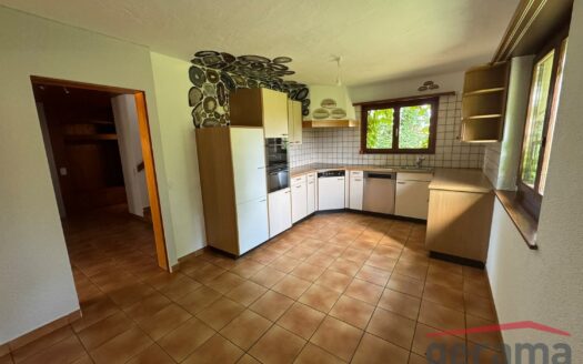 Charmant appartement de 4.5 pièces en duplex
