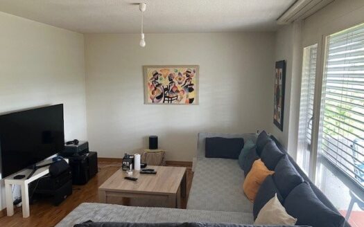 Bel appartement dans le quartier du Windig