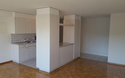 Schöne 4 Zimmer-Wohnung in Schmitten subventionert