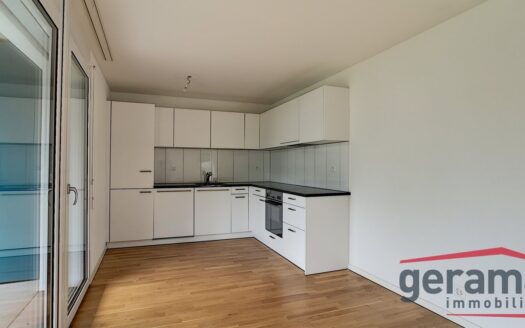 Appartement récent à Avenches
