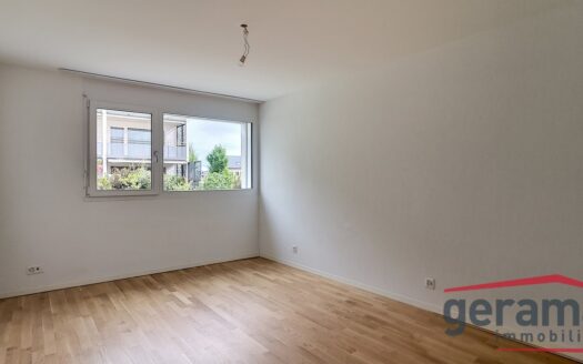 Appartement récent à Avenches