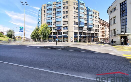 2.5 pièces entre la gare et les hautes écoles