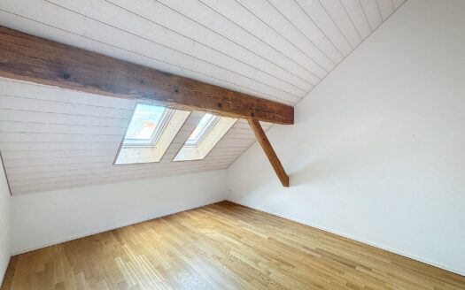 3.5 pièces de charme sous les combles