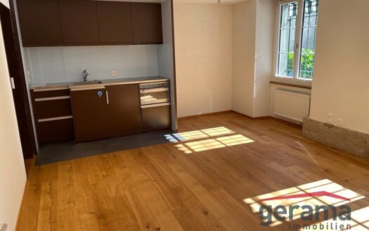 Quartier du Bourg – 2.5 pces – rare !