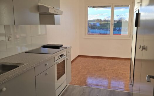 Schöne 3.5 Zimmerwohnung in Schmitten