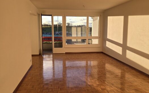 Schöne 3.5 Zimmerwohnung in Schmitten