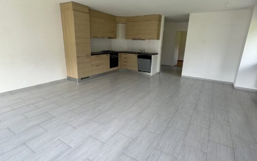 Appartement lumineux à Bex