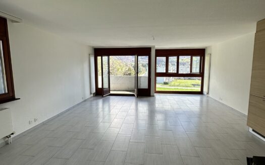 Appartement lumineux à Bex