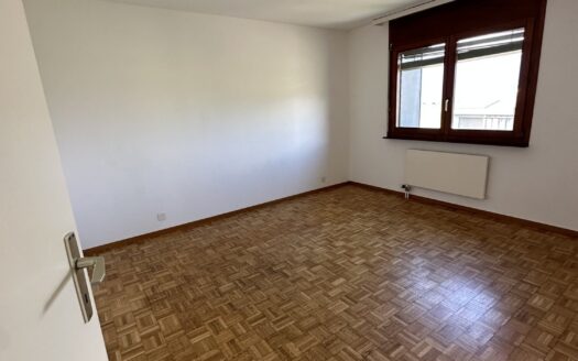 Appartement lumineux à Bex