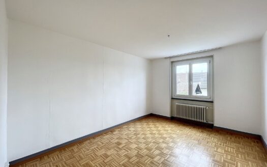 Joli 4.5 pièces à Lentigny !