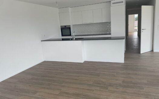 Appartement attique 3.5 pièces
