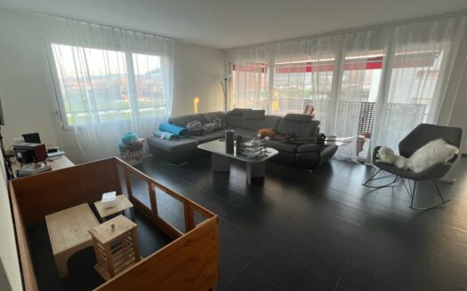 Appartement 3,5 pièces au rez