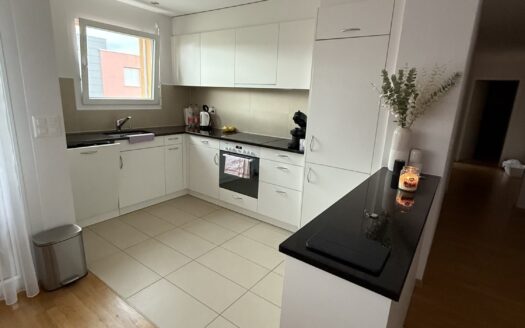 Sonnige 3.5 Zimmerwohnung in Wünnewil