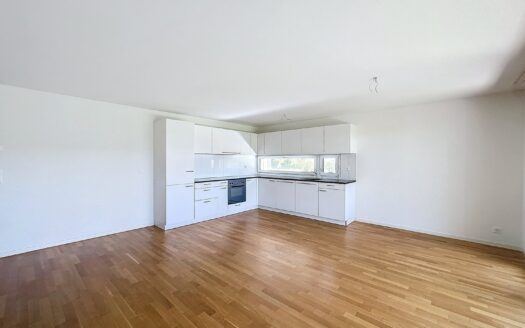 Appartement 3,5 pièces à Avenches