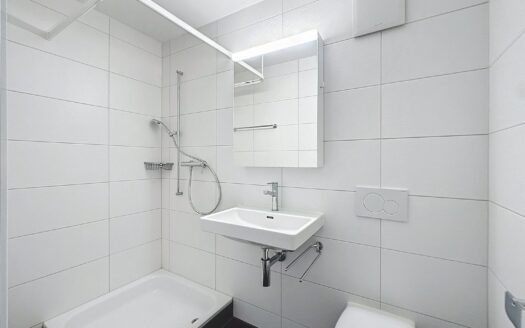Logement 5.5 pièces en attique !