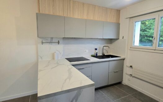 Bel appartement 3,5 pièces rénové à Marly !
