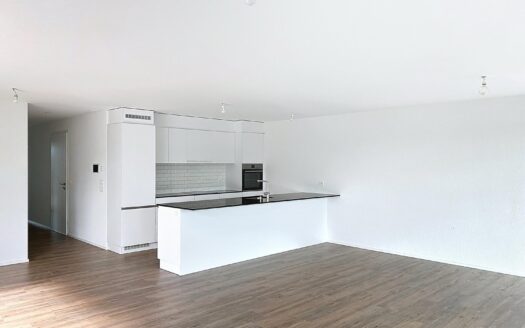 4,5 pièces attique de 152m2