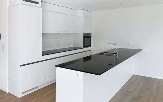 4,5 pièces attique de 152m2