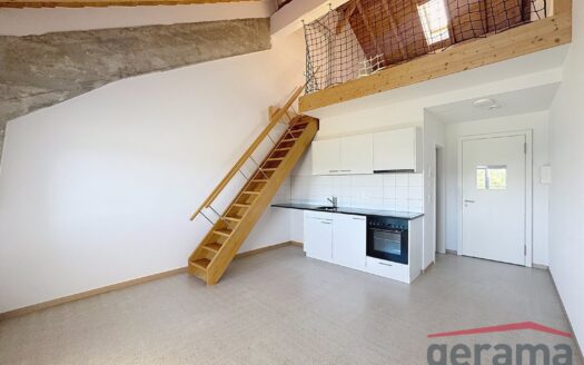 Lumineux appartement de 1.5 pièces au 4ème étage