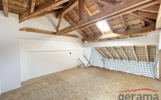 Lumineux appartement de 1.5 pièces au 4ème étage
