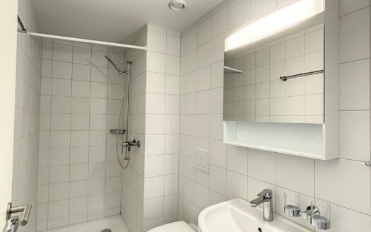 Lumineux appartement de 1.5 pièces au 4ème étage