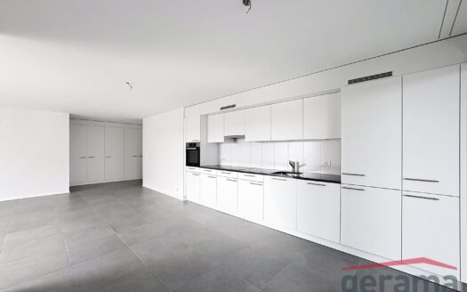 Appartement de 2.5 pièces au 9ème étage avec vue !
