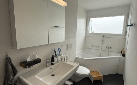 Helle 3.5 Zimmer Wohnung in St. Antoni